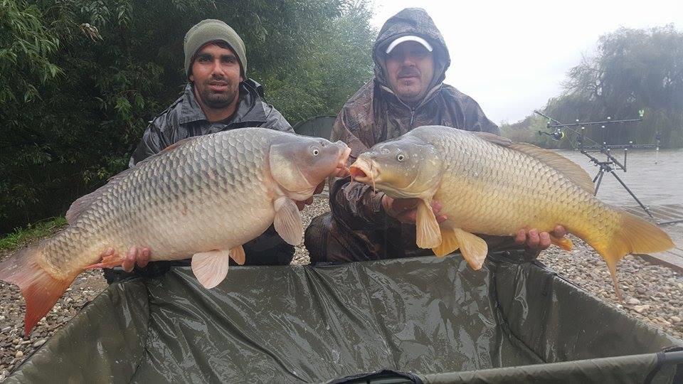 Cupa Toamnei !  8 - 11 octombrie 2015 - 12166473942375752496544671082299n.jpg